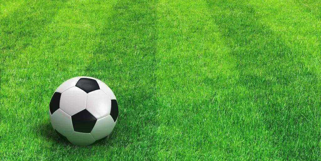 资深球迷深度分析场景